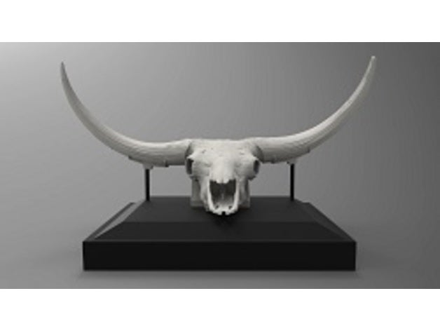 bison latifrons skulls animals fossils skull 3D print model - Mito3D