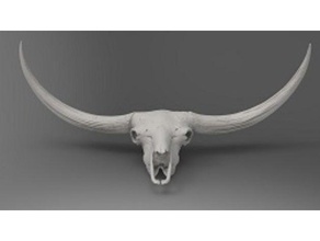 bison latifrons skull animals fossils 3d print model - Mito3D