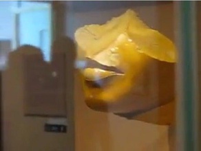 rainha egípcia fragmento de cabeça - amarela jasper scans e réplicas a arte o egito nefertiti nofretete 3d print model - Mito3D