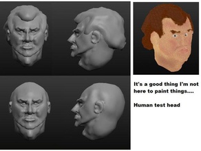 human head games dwarf body parts dungeons dragons dwarves table top 3d print model - Mito3D