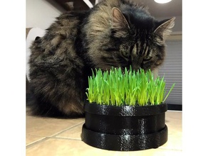 gato plantador de grama animais estimação cat plantadeira pote trigo wheatgrass 3d print model - Mito3D