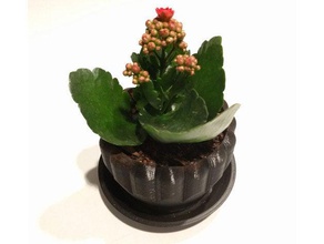 stylized flower pot desk plant decor planter flowerpot vase pots 3d print model - Mito3D