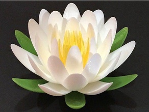 water lily lotus flower sculptures 3d print model - Mito3D