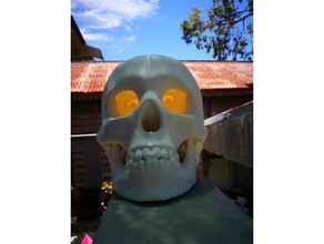 skullophane crazy dave interactive art awesome decor eyes human skull lithophane 3d print model - Mito3D