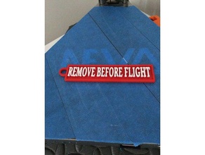 retire antes do voo tag de porta-chaves chaveiro remover etiqueta 3d print model - Mito3D