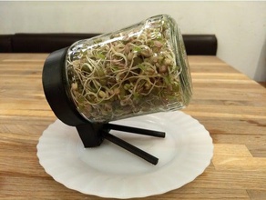 seed sprouts glass kitchen & dining grow mung bean 3d print model - Mito3D