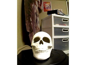 crânio scans e réplicas makerbotdigitizer scan 3d print model - Mito3D