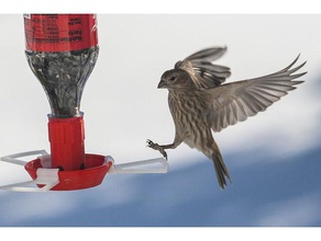 modular alimentador de aves posarse gazorpa s botella refresco base al aire libre y jardín 3d print model - Mito3D