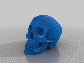 kafatası engeller diy 3d print model - Mito3D