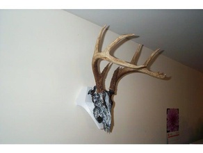 deer skull wall mount sport & outdoors hunting trophy base 3d print model - Mito3D