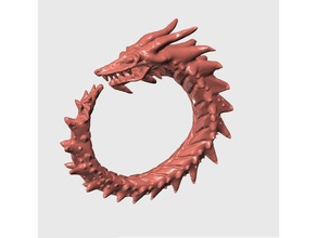dragon chose modèles 3dmodel 3dprintable alajaz amulette complexe de dur la ronde 3d print model - Mito3D