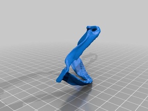 shark jaws Biologie Knochen Hai 3d print model - Mito3D