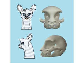 fletcher's skull version 2 animals 3d print model - Mito3D