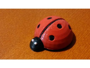 small cute ladybug animals 3d print model - Mito3D