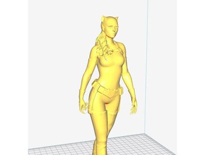 catwoman modelos 3d print model - Mito3D