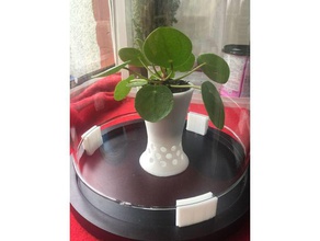 sotto la cupola - vaso piccolo all'aperto e giardino interno giardinaggio indoor piante da coperta fioriera pianta fioriere semina piantare in 3d print model - Mito3D