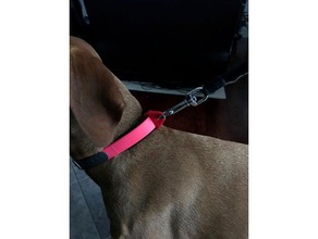 leash collar attachment piece pets 3d print model - Mito3D