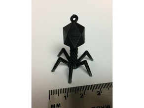 bacteriophage t4 remix sculptures 3d print model - Mito3D