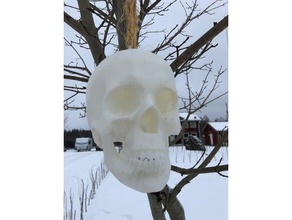 crâne nichoir extérieur et jardin 3d print model - Mito3D