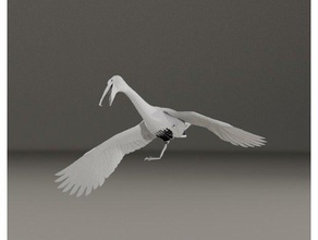 pellicano, uccello flyed sculture 3d print model - Mito3D