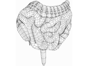 Anatomie-Modelle-scanner scans & Replikate 3d print model - Mito3D