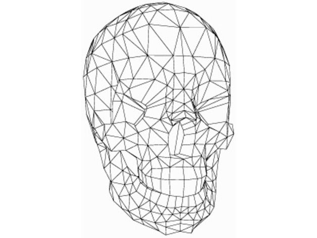 Anatomie-scan-Modelle 2 scans & Replikate 3D print model - Mito3D