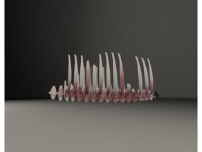 carogne ossa arredamento 3d print model - Mito3D