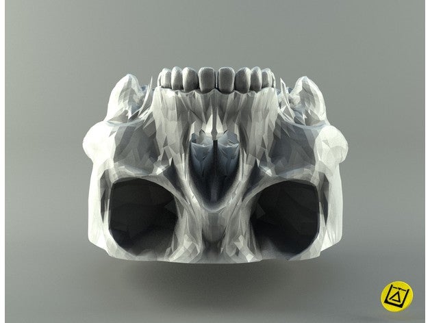 human skull 3d printing head 3D print model - Mito3D