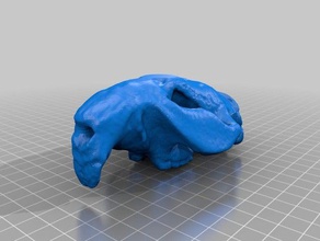mesa de día exploración exploraciones & réplicas makerbotdigitizer scan 3d print model - Mito3D