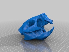 procupine-mesa día exploraciones & réplicas makerbotdigitizer scan 3d print model - Mito3D