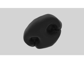 canino de la nariz hobby 3d print model - Mito3D