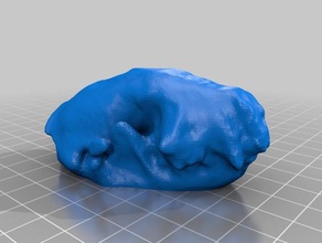 skunk mesa día exploraciones & réplicas makerbotdigitizer scan 3d print model - Mito3D