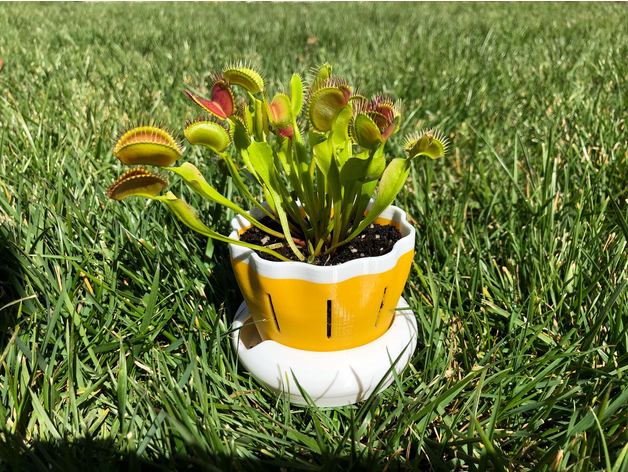 unten Bewässerung Blumentopf outdoor & Garten Blume Blumen-vase Pflanzkübel Topf pflanze pot vase venus fly trap 3D print model - Mito3D