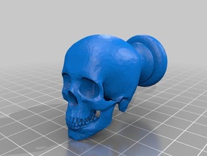 skull drawer pull household supplies human skulls tatoo shop 3d print model - Mito3D