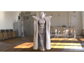 deedlit sculture record di lodoss war 3d print model - Mito3D