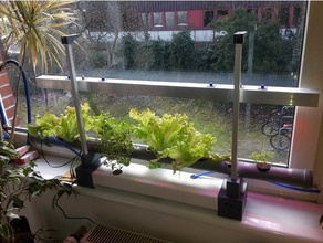 idroponica finestra farm v01 biologia 3d print model - Mito3D
