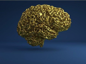 brain voronoi style sculptures 3d 3d print model - Mito3D