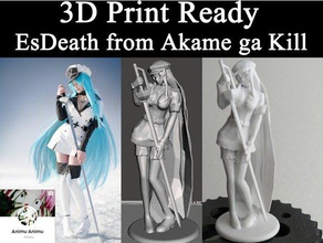 La impresión 3d ready esdeath akame ga kill personas de la lista 3dprintready el anime figura modelo animu animuanimu muchacha niña hielo listo para imprimir espada 3d print model - Mito3D