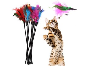 cat toy - play stick unbreakable version pets feather toys holder mount 3d print model - Mito3D