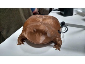 Çarşamba kurbağa raspberry pi durumda bilgisayar memesaur ırl bana dostlarım ananas raspi 3d print model - Mito3D