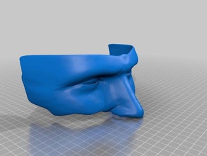 face 3d printing 3d print model - Mito3D
