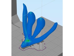 anatomique du clitoris étanche à l'eau L'impression 3d 3d print model - Mito3D