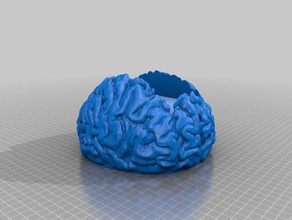 cervello modificato La stampa 3d 3d print model - Mito3D