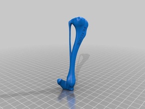dog tibia animals bone bones 3d print model - Mito3D