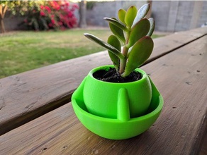 globe desk planter flower pot containers succulent succulents holder plant vase 3d print model - Mito3D