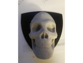 crânio de gancho organização para casaco fone ouvido titular parede 3d print model - Mito3D