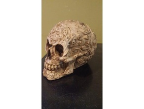 almas crânio scans e réplicas osso ossos o dia das bruxas a decoração de halloween humanos metal assustador 3d print model - Mito3D