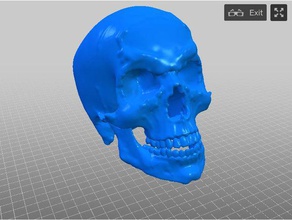 veiny angry skull sculptures bone bones halloween decoration prop human metal 3d print model - Mito3D