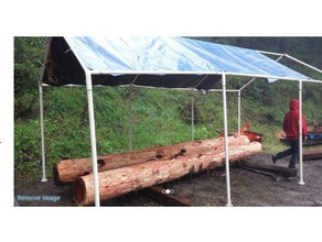 redwood logs de 1mm 1 a impressão 3d 3d print model - Mito3D