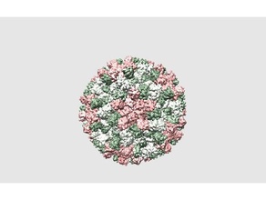 el nabo de la arruga del virus tcv forma nativa ap-3zx8 biología cryo-em las moléculas planta estructura proteína estructural 3d print model - Mito3D